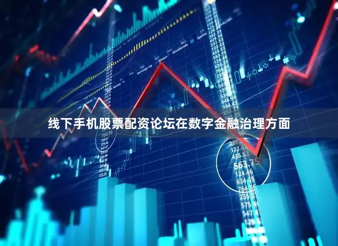 线下手机股票配资论坛　　在数字金融治理方面