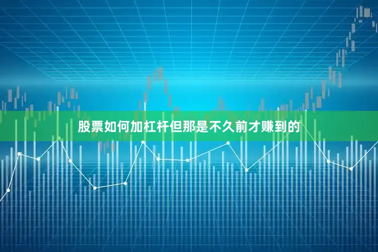 股票如何加杠杆但那是不久前才赚到的