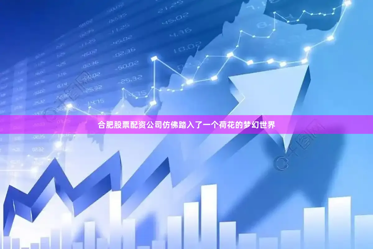 合肥股票配资公司仿佛踏入了一个荷花的梦幻世界