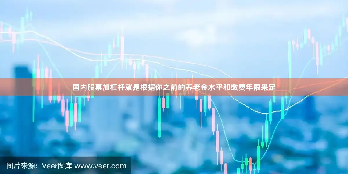 国内股票加杠杆就是根据你之前的养老金水平和缴费年限来定