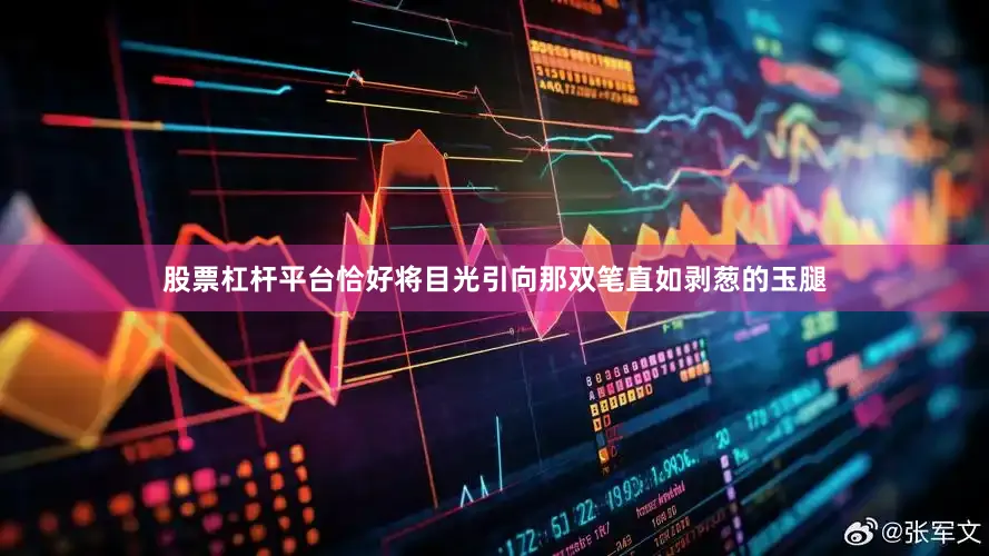股票杠杆平台恰好将目光引向那双笔直如剥葱的玉腿
